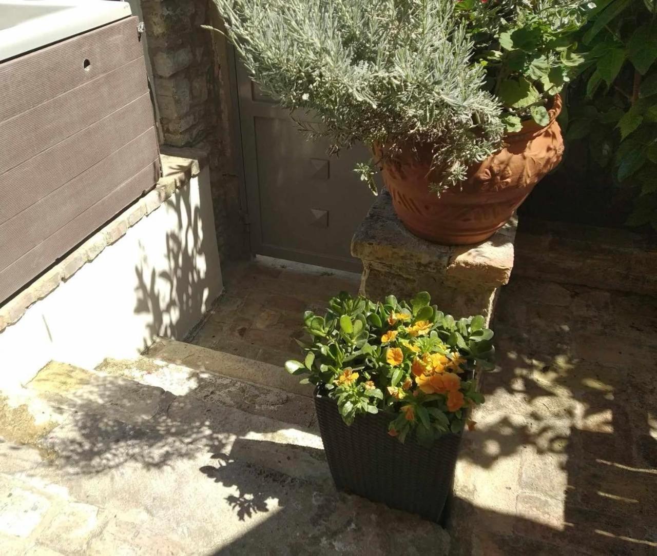 Anemomilos Jacuzzi Suite Corfu  Extérieur photo